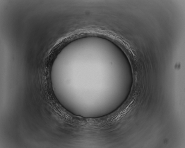 X0000100931494200806241125