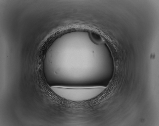 X0000100931495200806241125