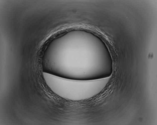 X0000100931496200806241125