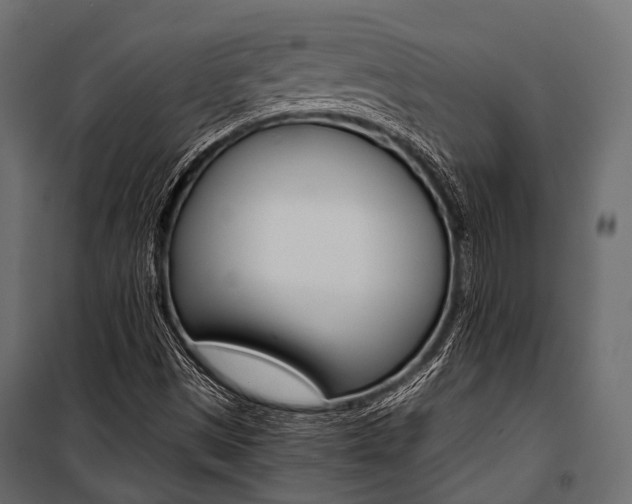 X0000100931497200806241125