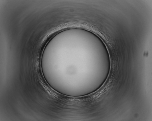 X0000100931499200806241125