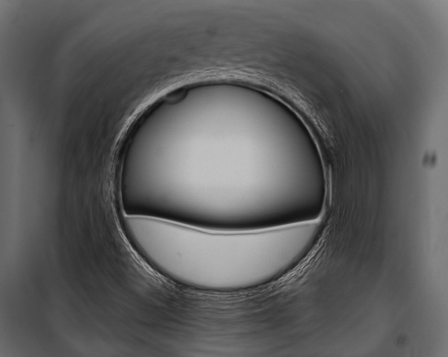 X0000100931500200806241125