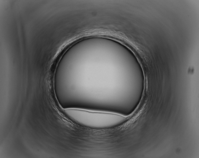 X0000100931501200806241125