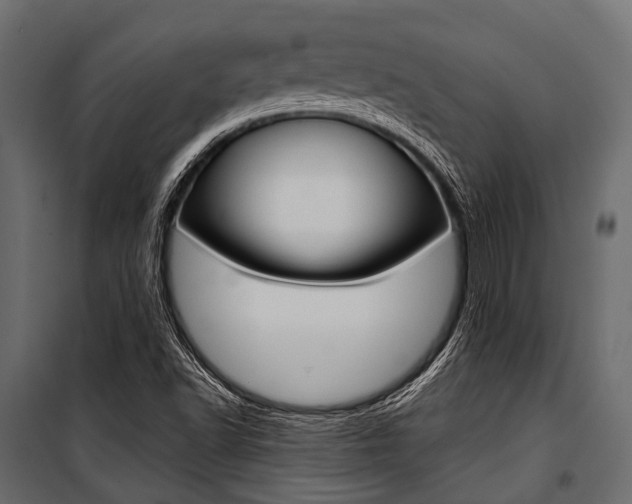 X0000100931502200806241125