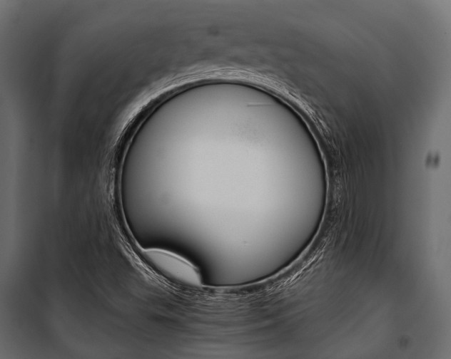 X0000100931503200806241125