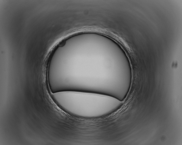 X0000100931504200806241125