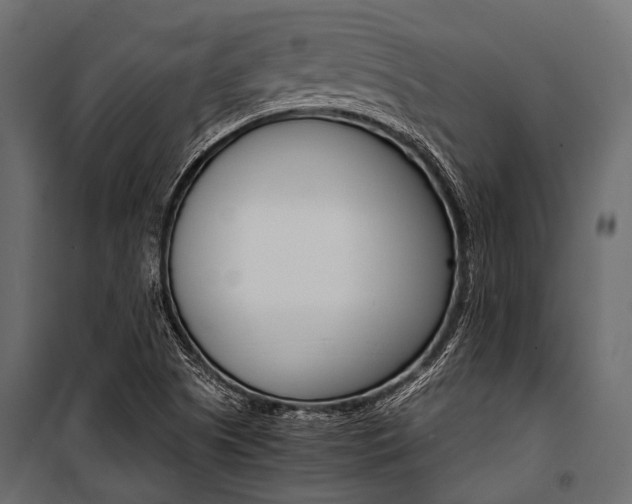 X0000100931505200806241125
