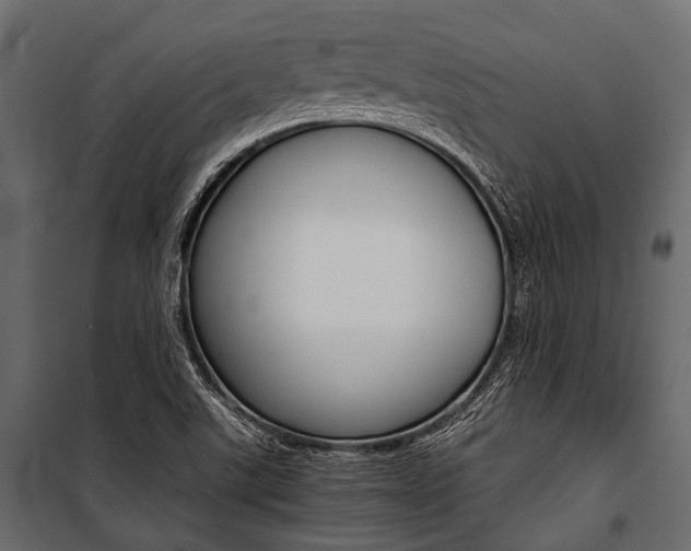 X0000100931507200806241125