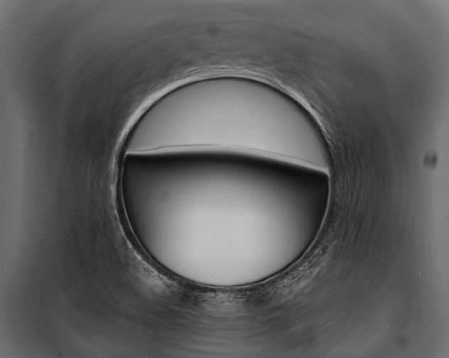 X0000100931508200806241125