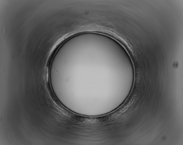X0000100931509200806241125
