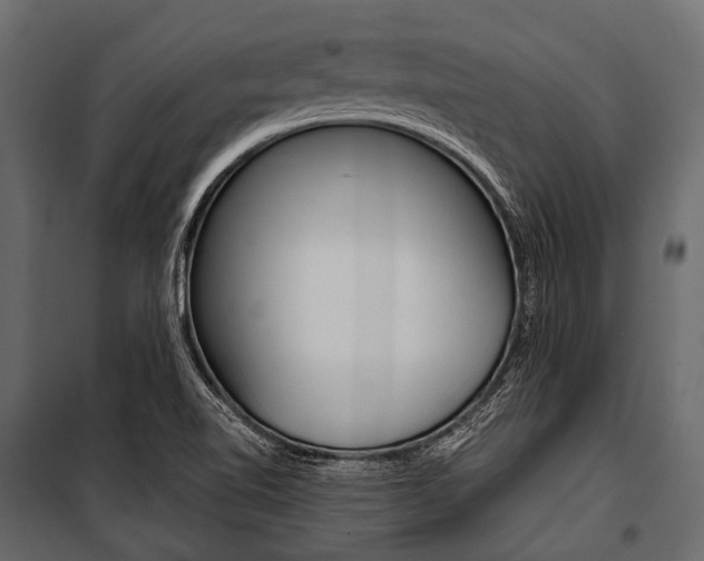 X0000100931510200806241125