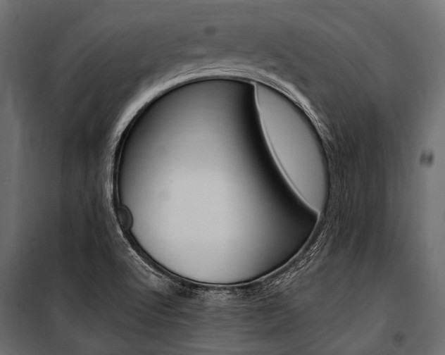 X0000100931512200806241125