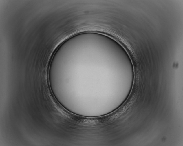 X0000100931513200806241125