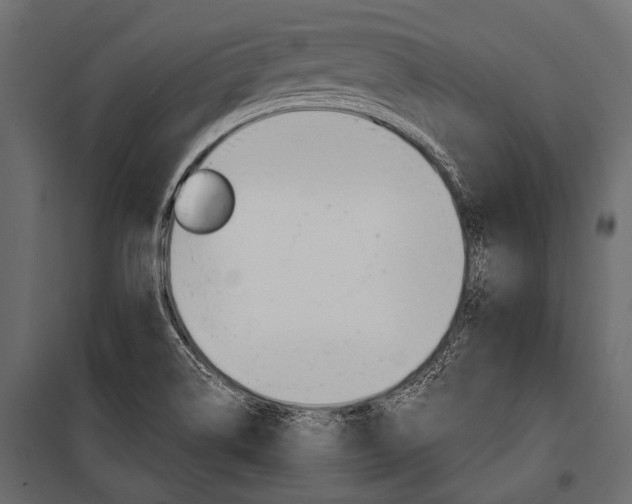 X0000100931514200806241125