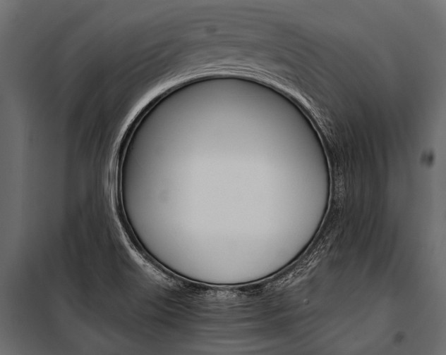 X0000100931515200806241125
