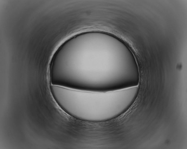 X0000100931516200806241125