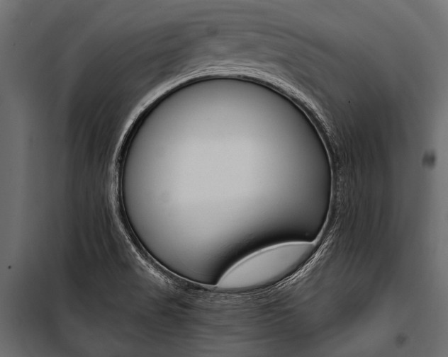 X0000100931517200806241125