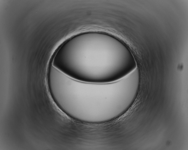 X0000100931518200806241125