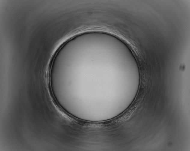 X0000100931519200806241125