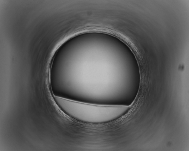 X0000100931520200806241125
