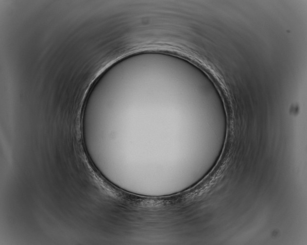 X0000100931521200806241125