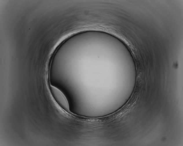 X0000100931523200806241125