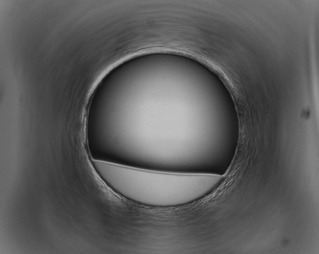 X0000100931524200806241125