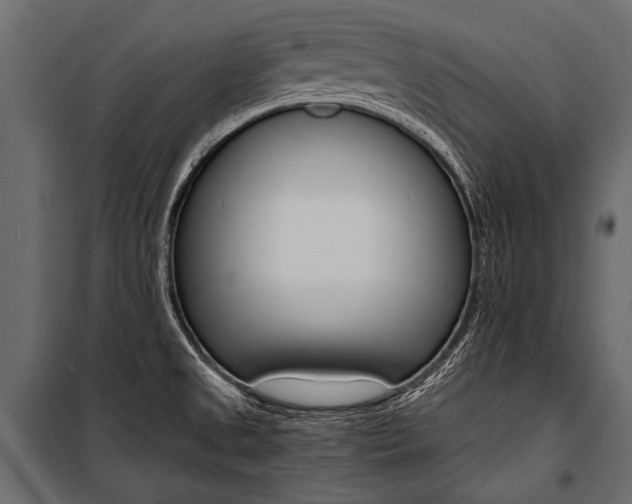 X0000100931525200806241125