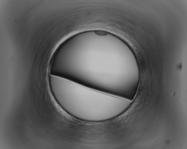 X0000100931526200806241125