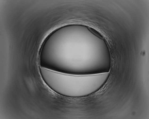X0000100931527200806241125