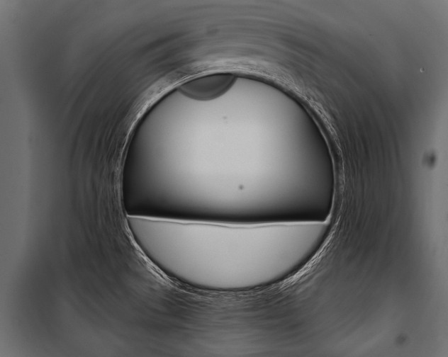X0000100931529200806241125
