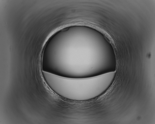 X0000100931530200806241125