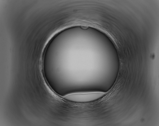 X0000100931531200806241125