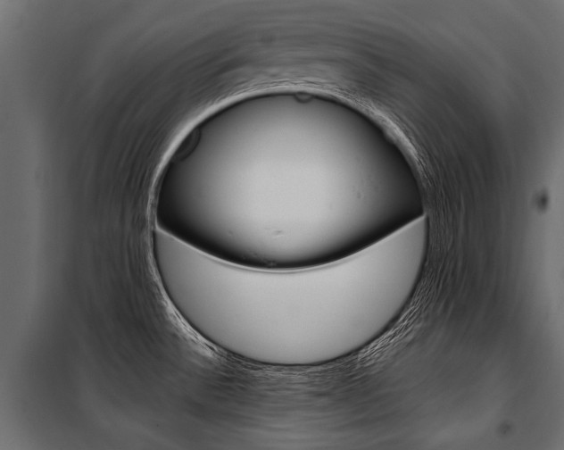 X0000100931532200806241125