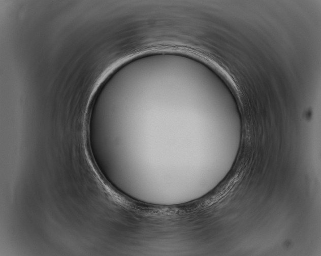 X0000100931533200806241125