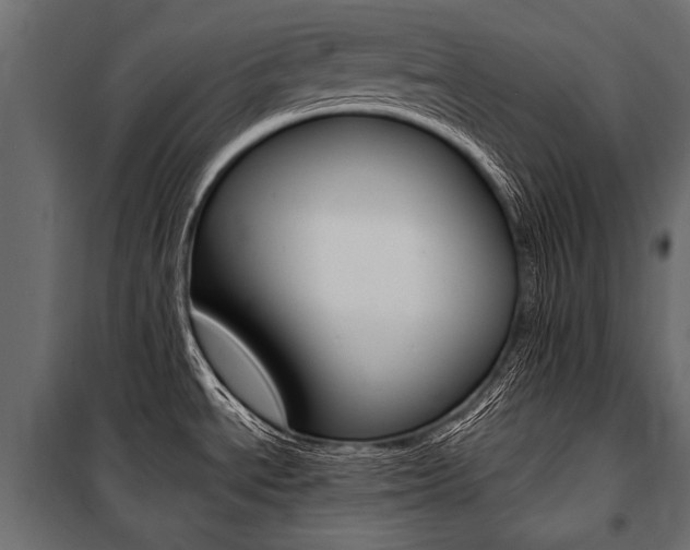 X0000100931534200806241125