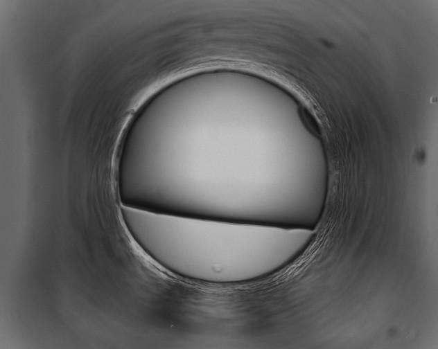 X0000100931535200806241125