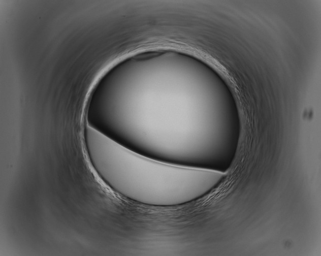 X0000100931536200806241125