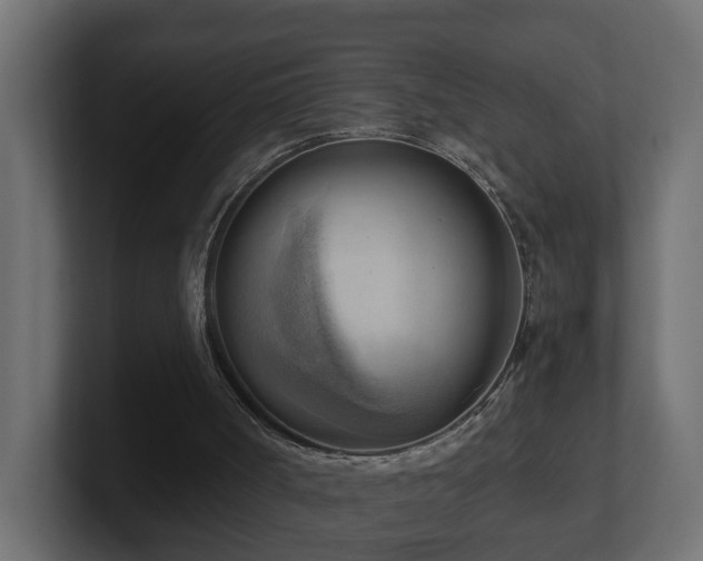 X0000100930002200806241415