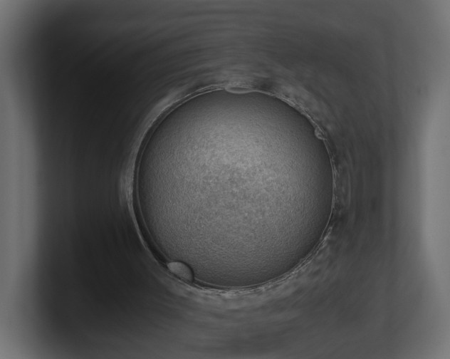 X0000100930003200806241415