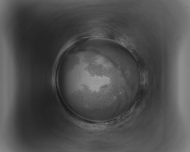 X0000100930004200806241415