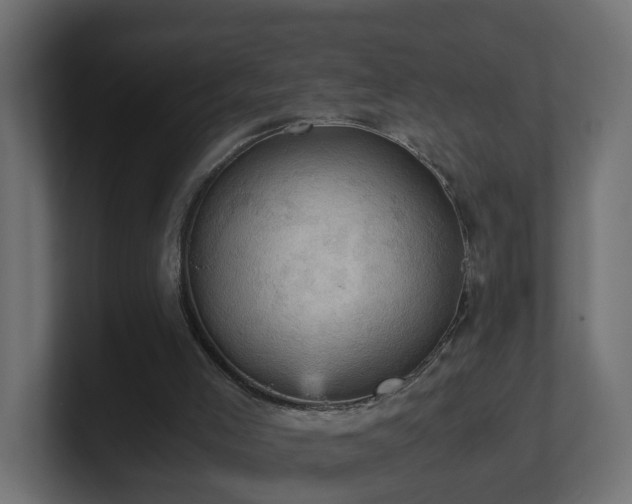 X0000100930005200806241415