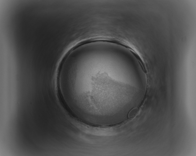 X0000100930008200806241415