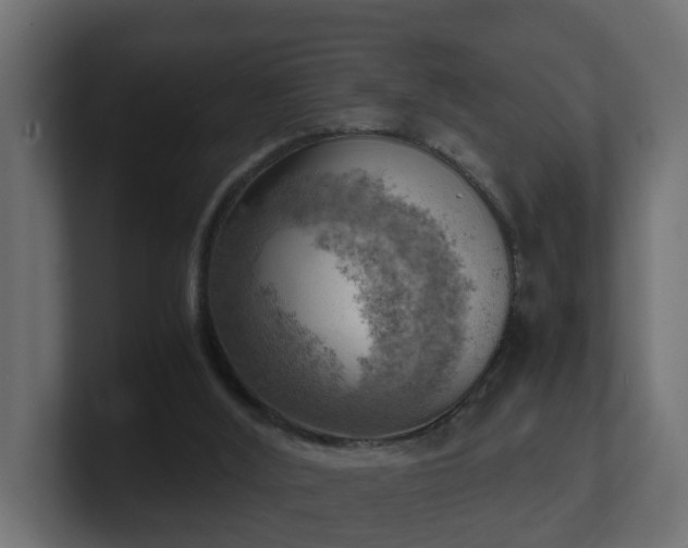 X0000100930012200806241415