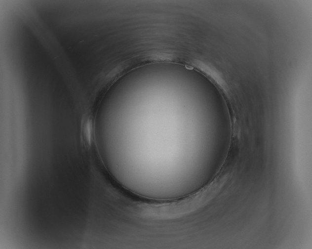 X0000100930013200806241415