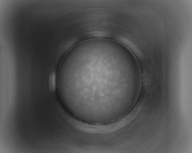 X0000100930014200806241415