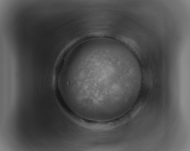 X0000100930016200806241415