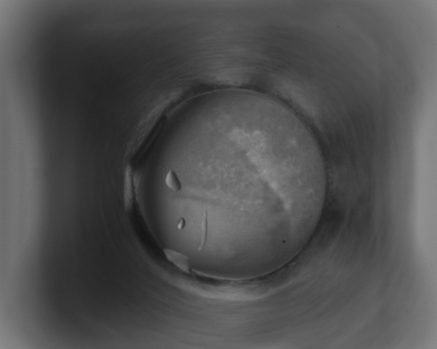 X0000100930020200806241415