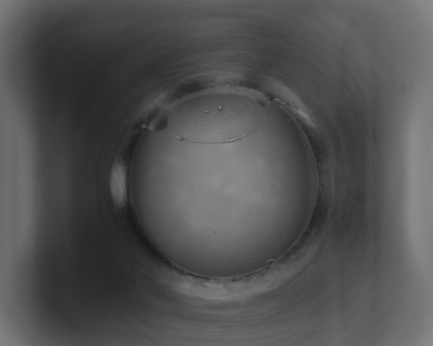 X0000100930022200806241415