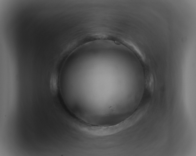 X0000100930023200806241415